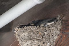 お母さん来て良かったね