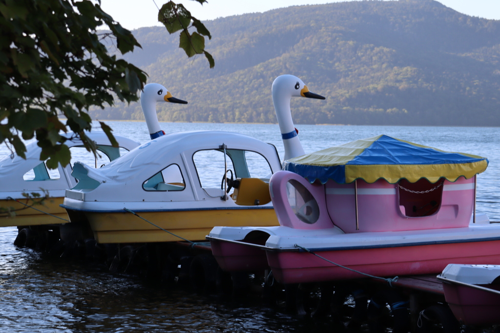 アヒルも暇だよ～