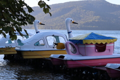 アヒルも暇だよ～