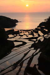 水田の夕日