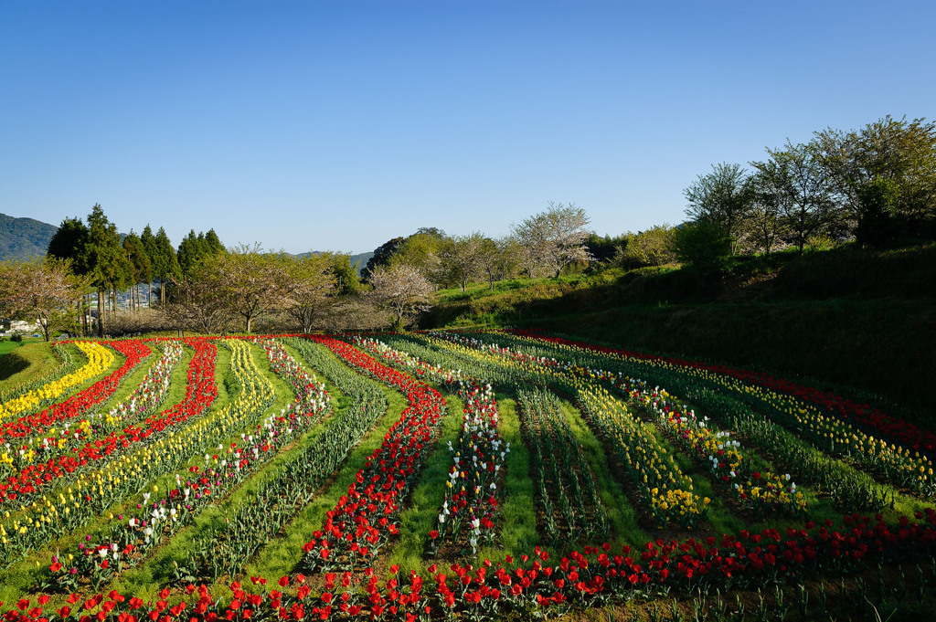 あの頃の風景１