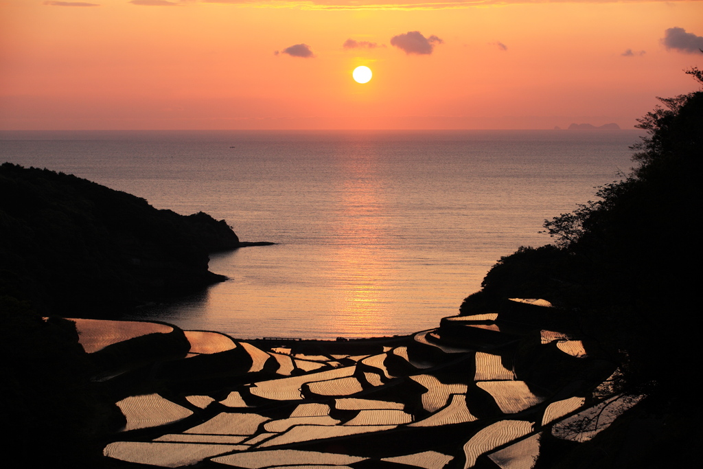 棚田の夕日