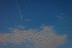 紫金山・アトラス彗星