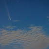 紫金山・アトラス彗星