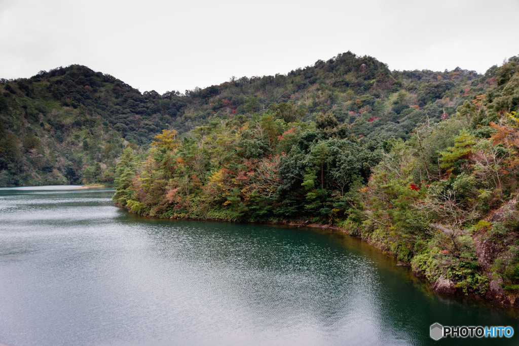 貯水湖