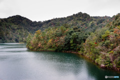 貯水湖