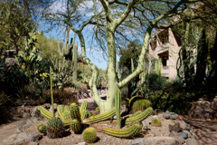 Scottsdale.AZにて3