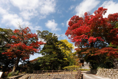 銅の鳥居付近