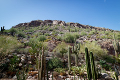 Scottsdale.AZにて1