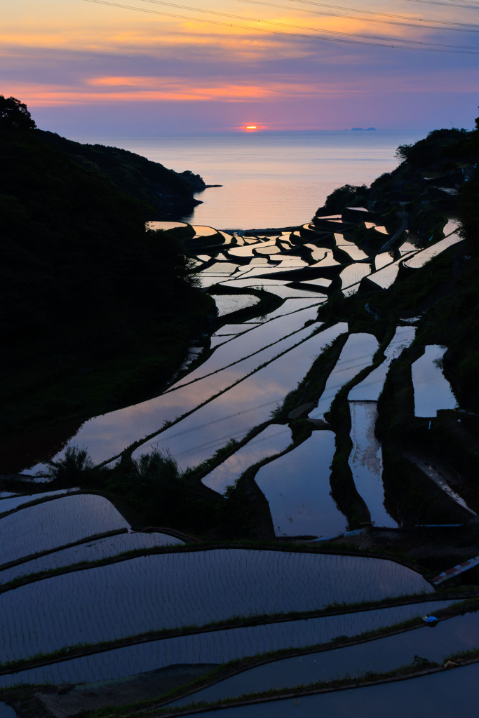 棚田の夕陽