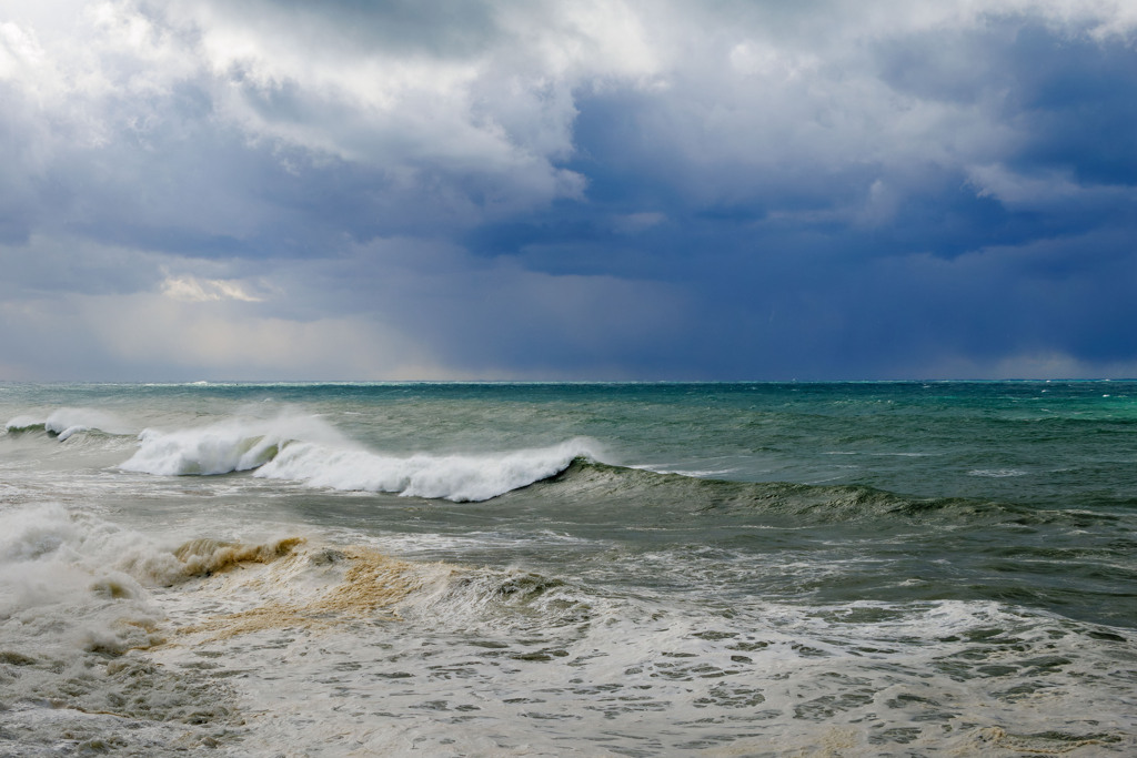 冬の海