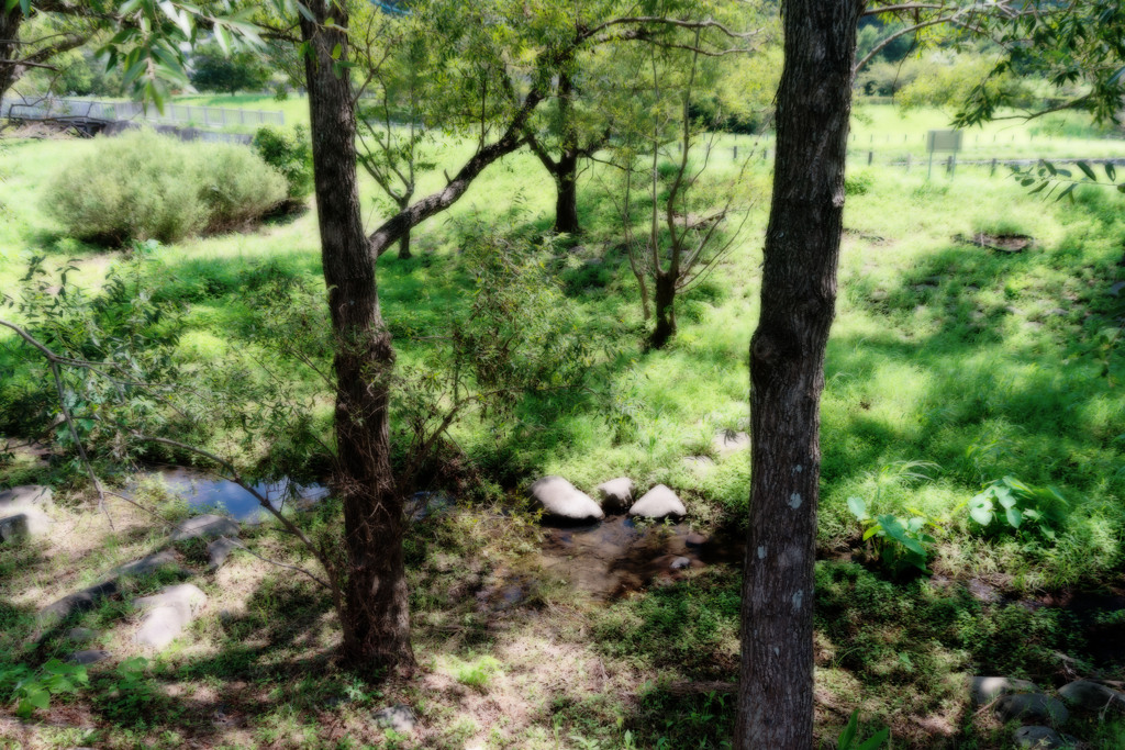 夏の隙間
