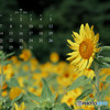 7月