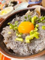 生シラス丼