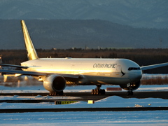 GOLD CATHAY~夕陽を浴びて