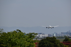 スカイパーク
