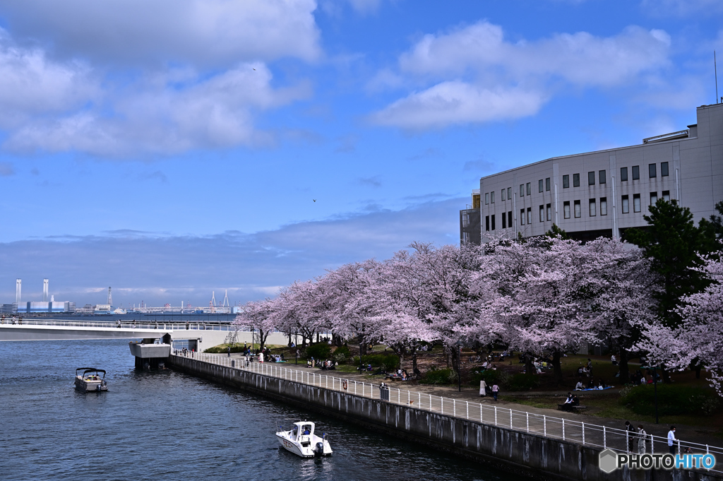 海辺に集う