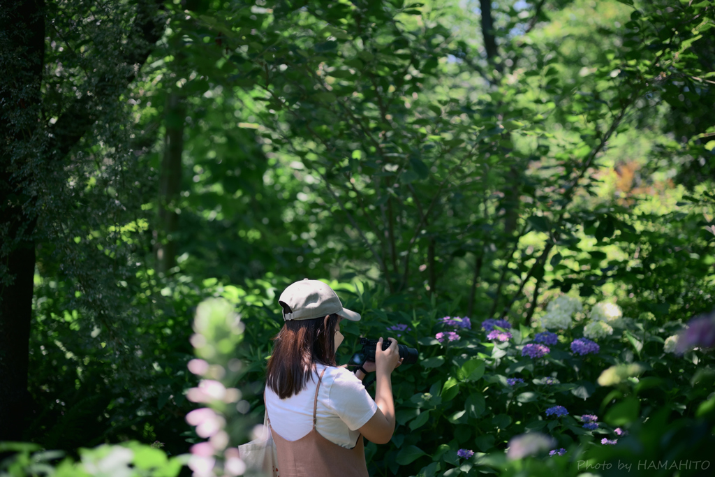 Photographer