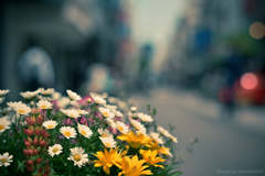 Colorful Street