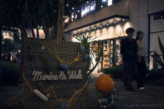 Night Walk with You