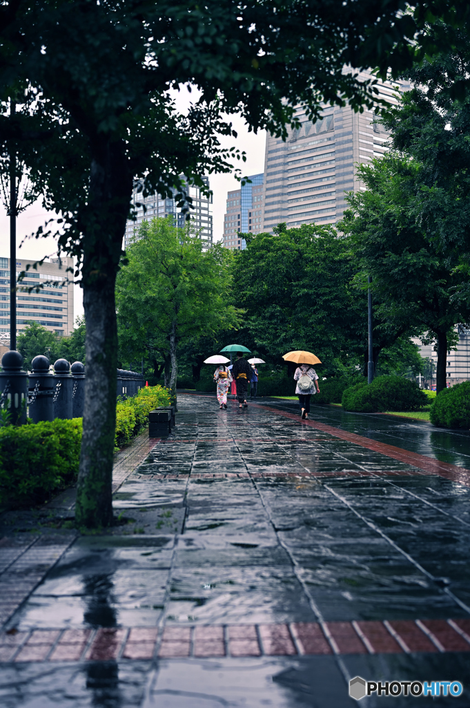 雨の汽車道