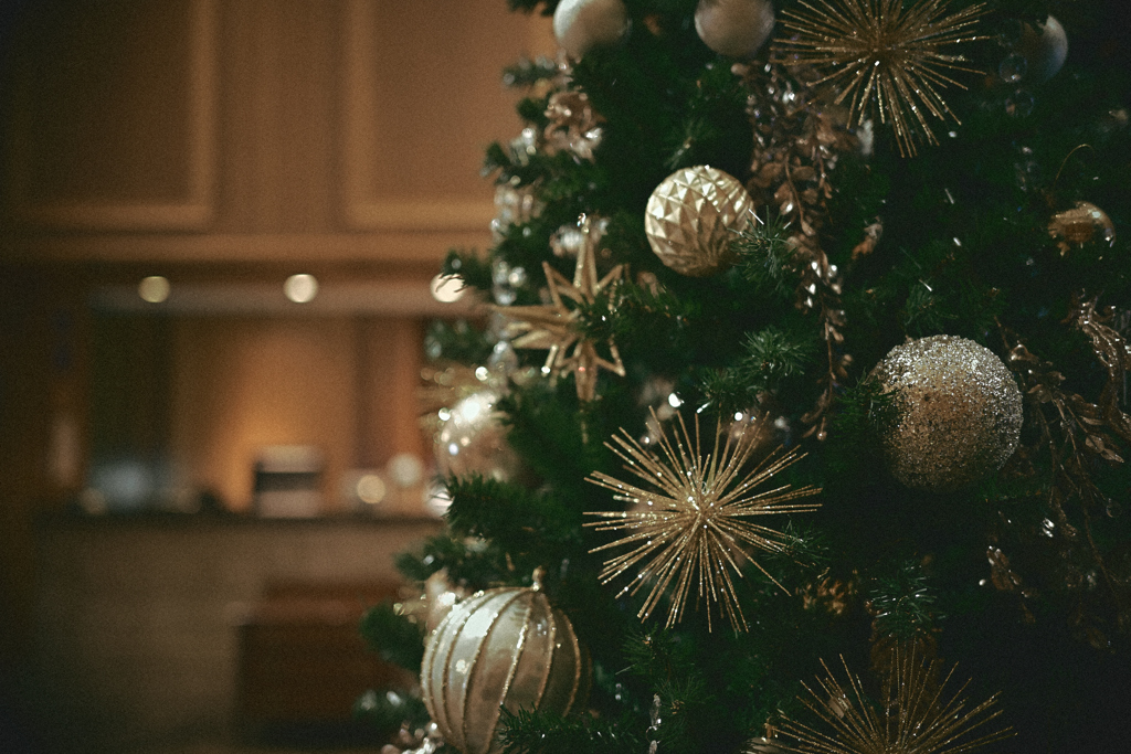 The Christmas Song ♫