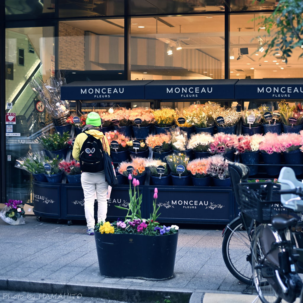 春待ち FlowerShop
