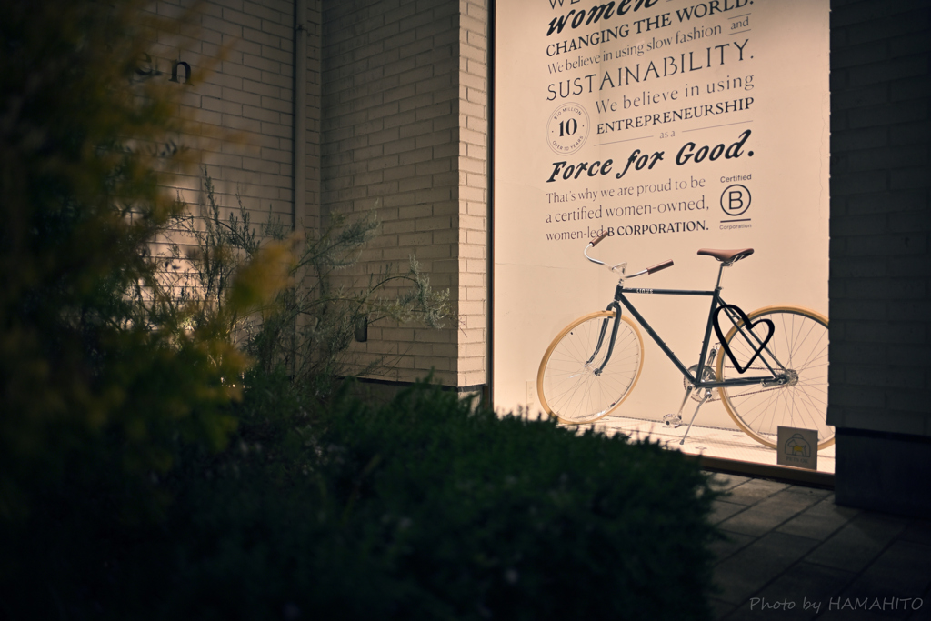 Bicycle
