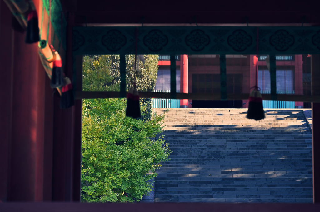 八幡宮の階段