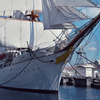 Sailing Ship "Nippon-Maru"