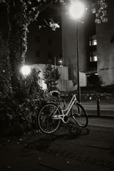 夜街自転車 #2