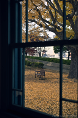 Fall of Leaves