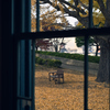 Fall of Leaves