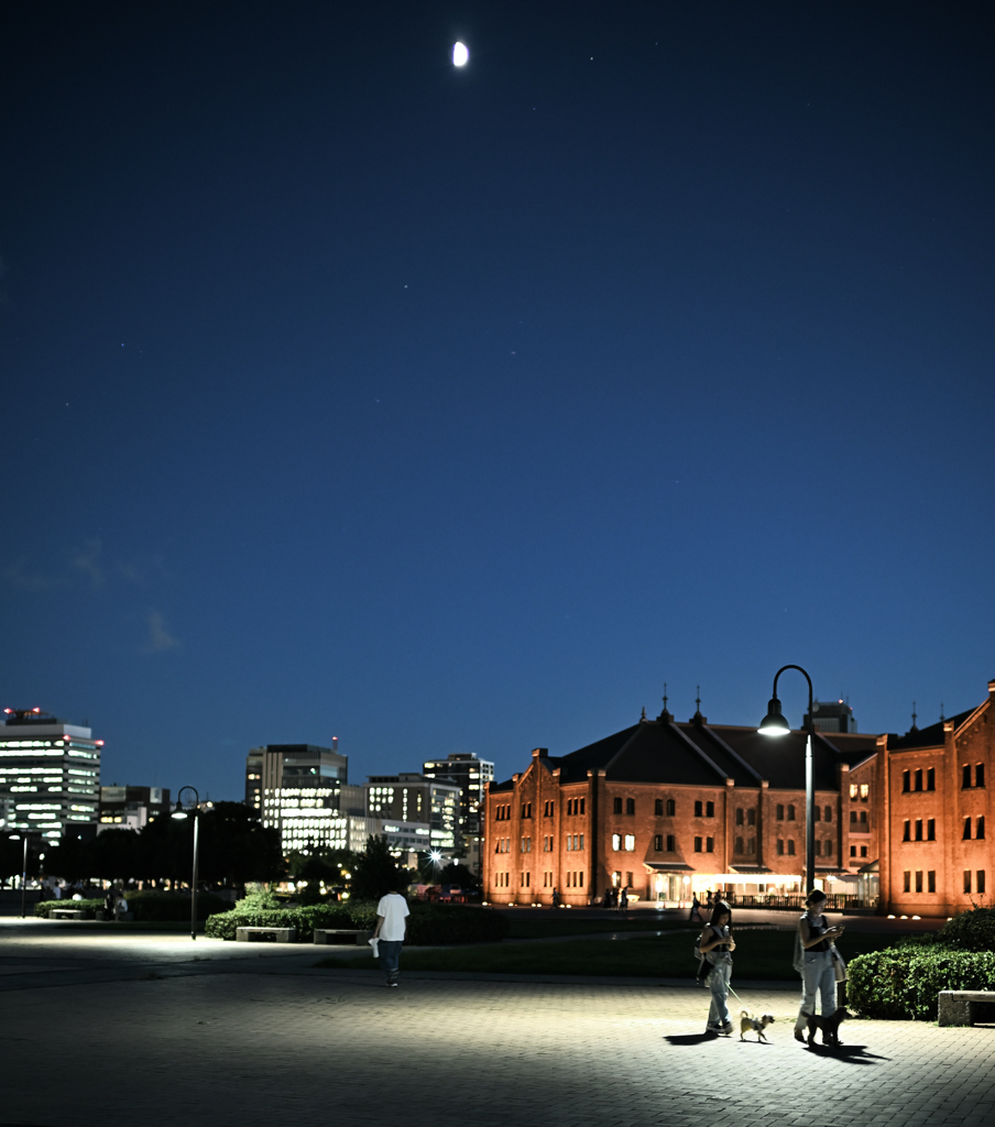 Moon Night Walking