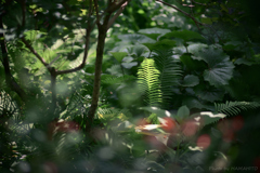 緑の世界へ #2