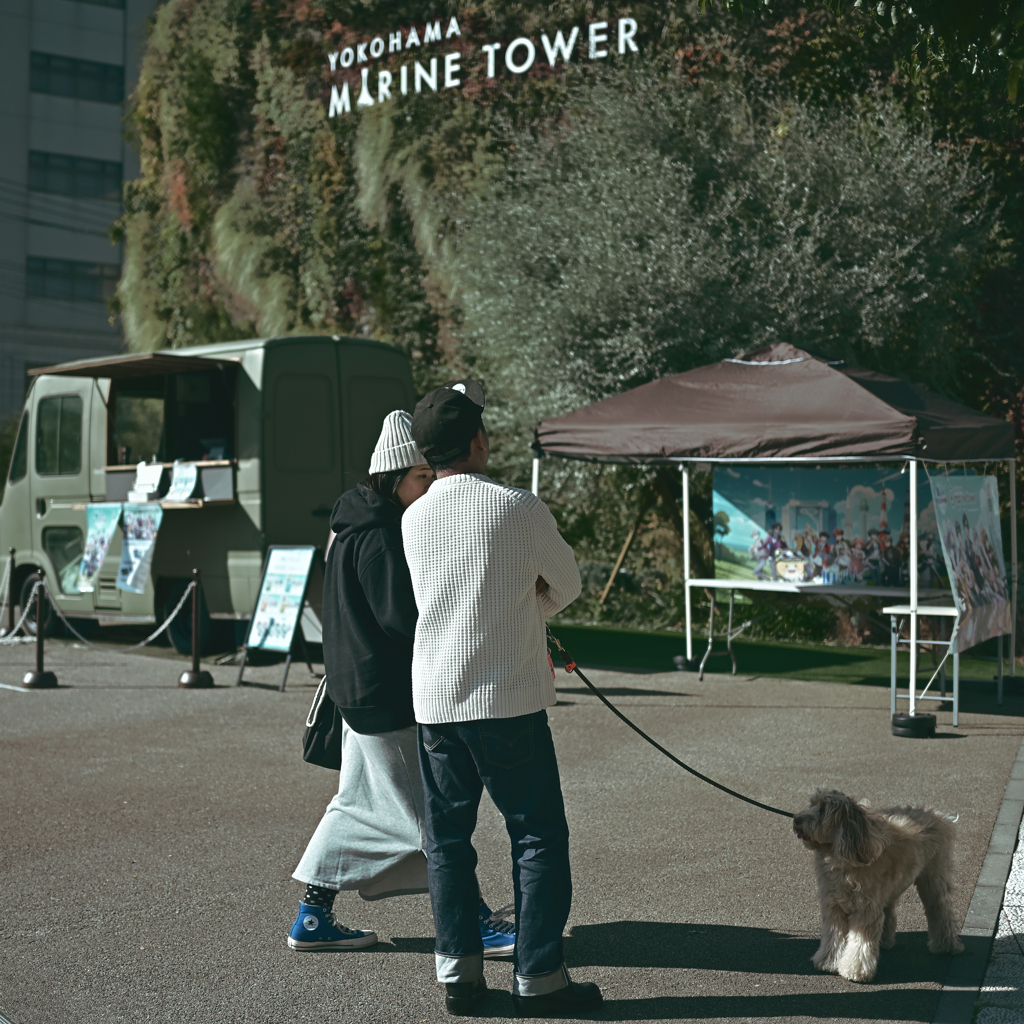 Walking with the dog