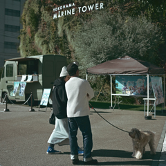 Walking with the dog