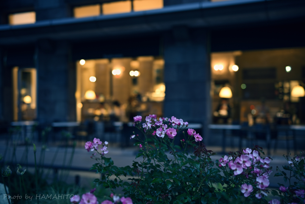 Night Cafe