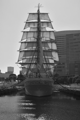 Sailing Ship(Back View)