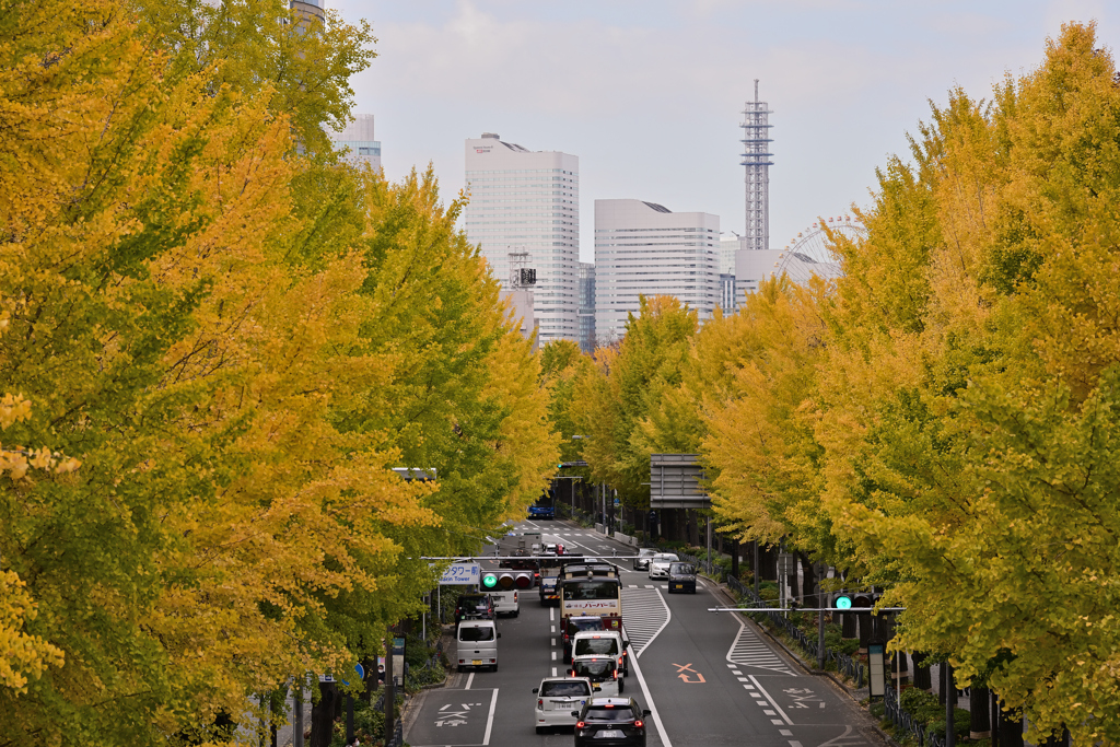 Autumn Street