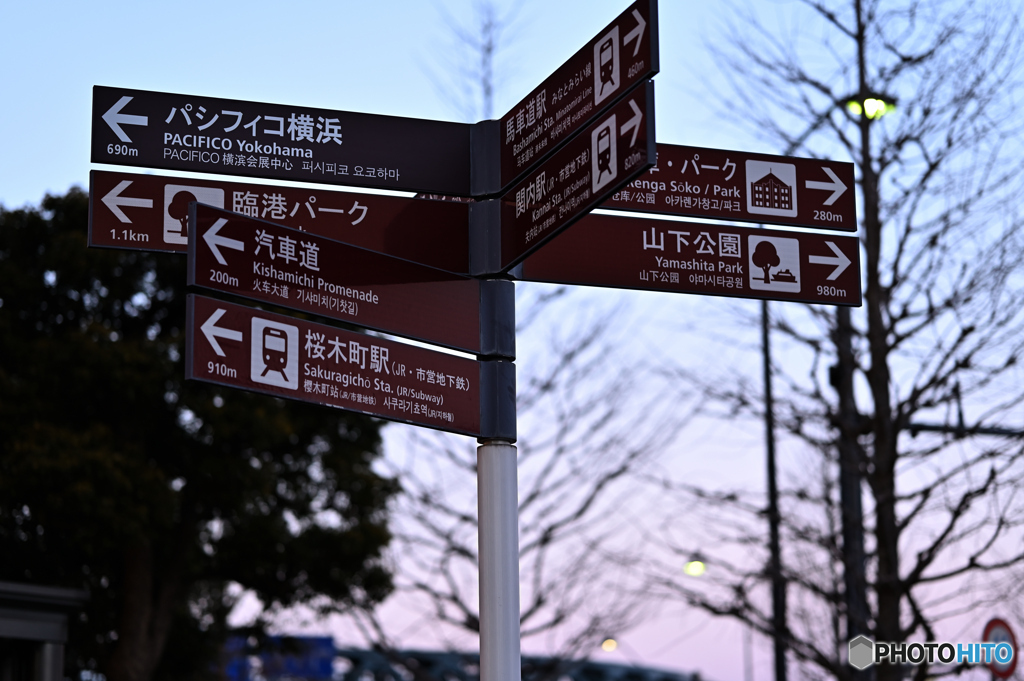 さあ、どっちに行こうか