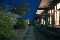 Night Walk with the Dog