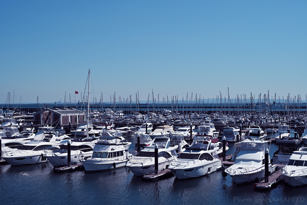 Bayside Marina