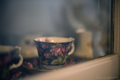 Tea Cup