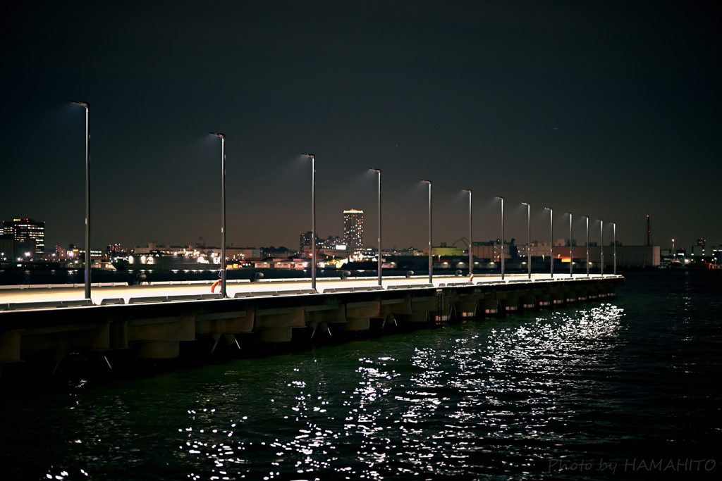 Harbor Lights