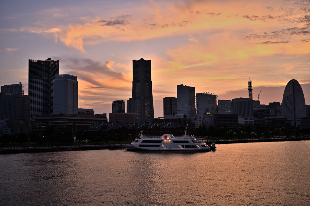 Dinner Cruise