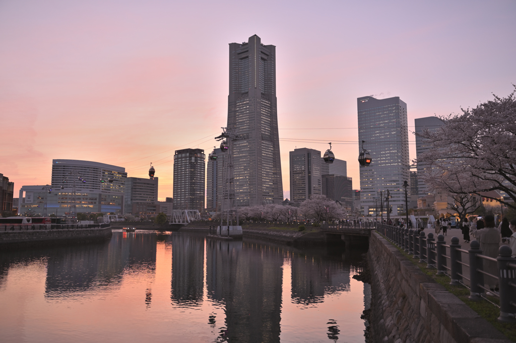 みなと夕景・春