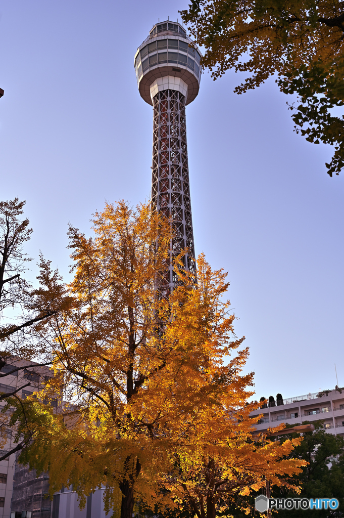 秋色タワー