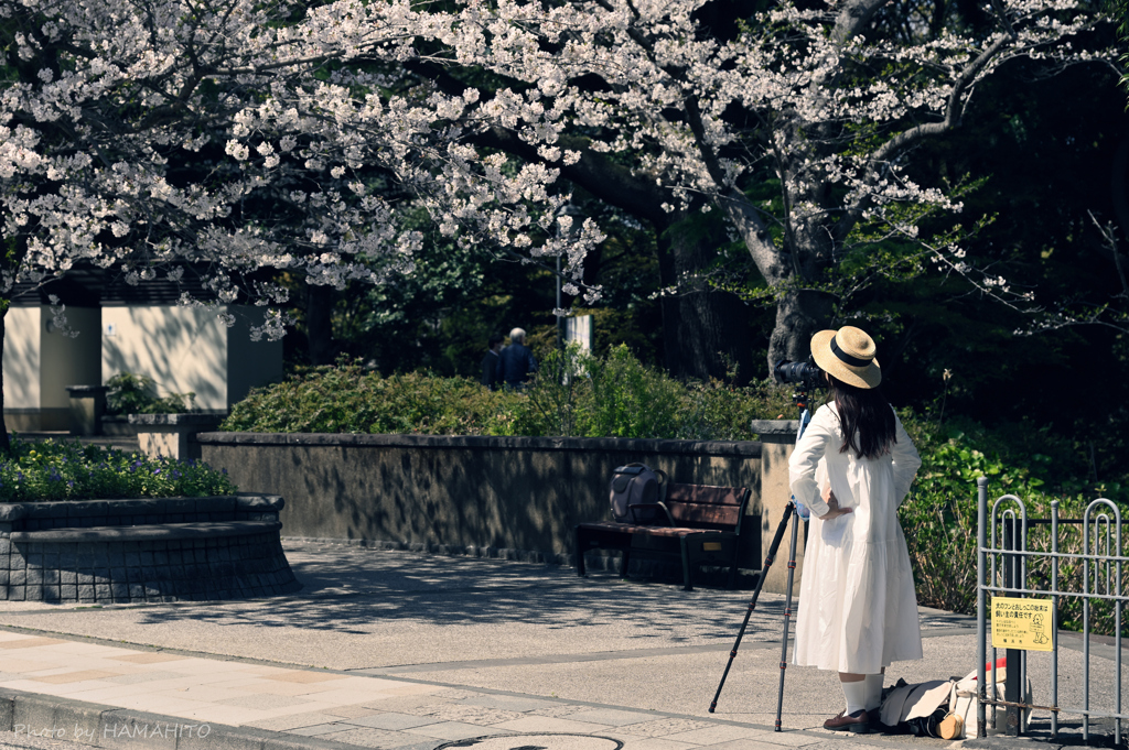 Photographer