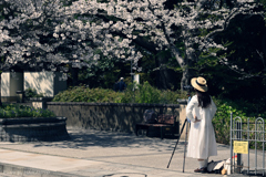 Photographer